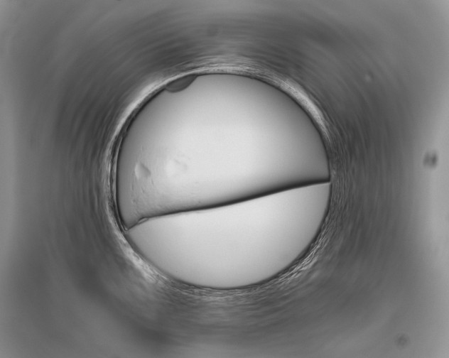 X0000096481099200801241141