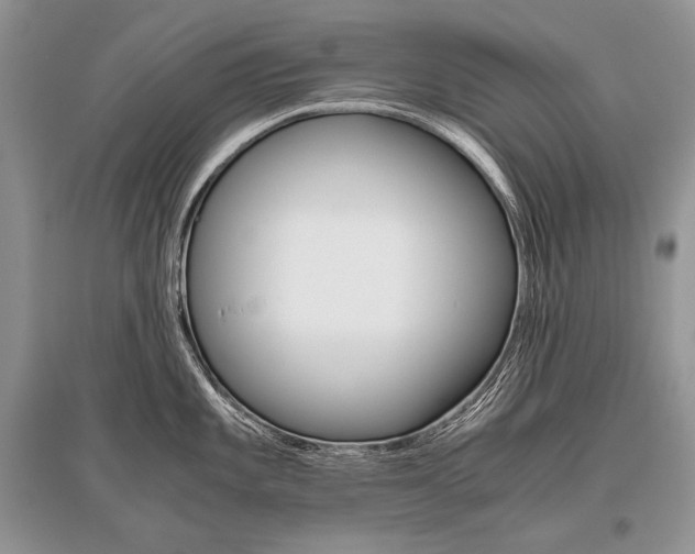 X0000096481101200801241141