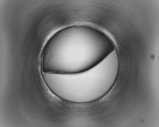 X0000096481102200801241141