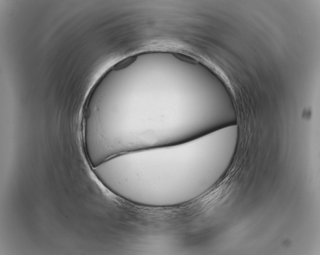 X0000096481103200801241141