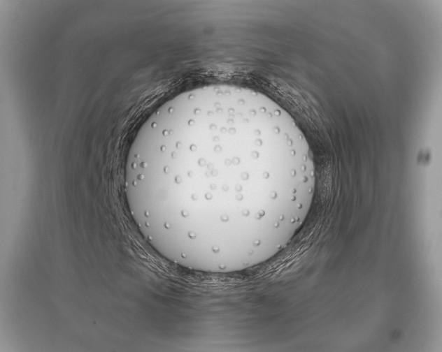X0000096481105200801241140