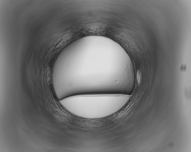 X0000096481107200801241140
