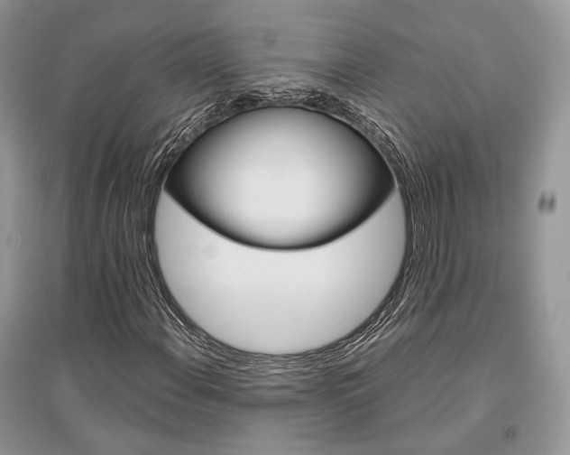 X0000096481108200801241140