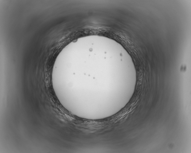 X0000096481109200801241140