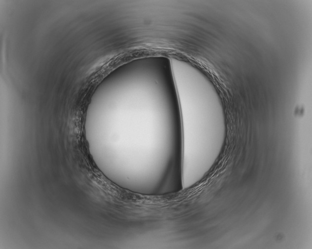 X0000096481110200801241140