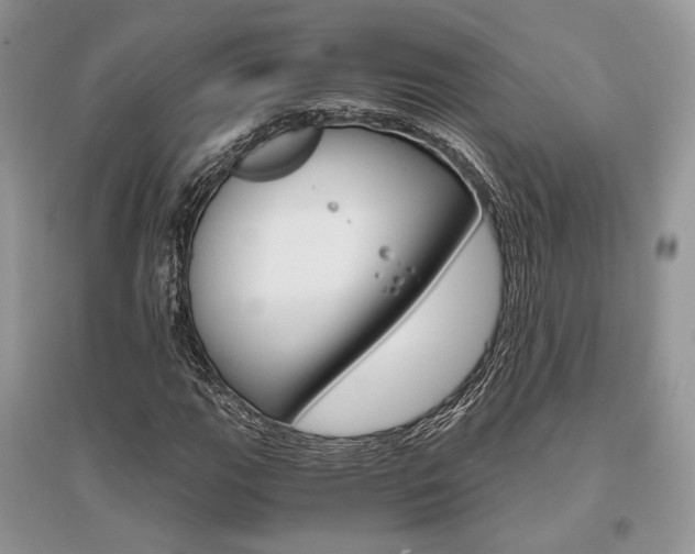 X0000096481111200801241140