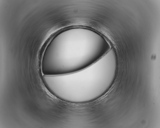 X0000096481116200801241140