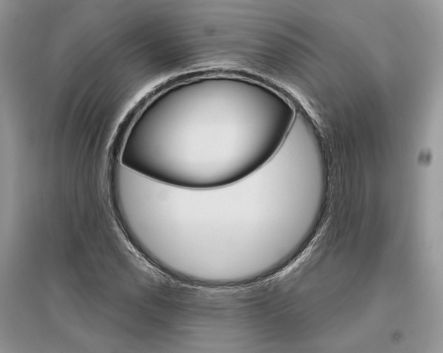 X0000096481118200801241140