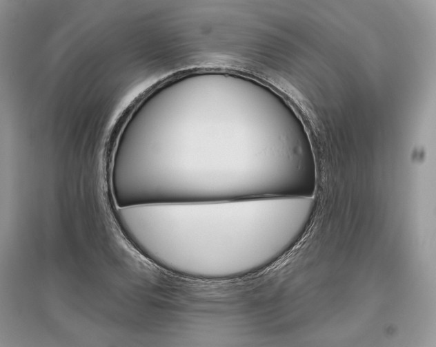 X0000096481120200801241140