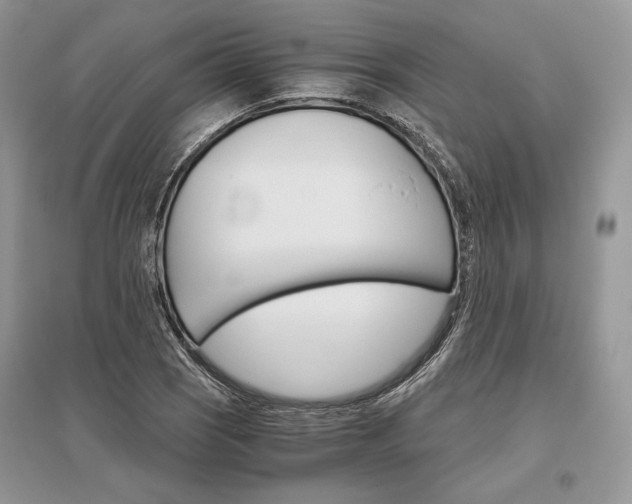X0000096481121200801241140