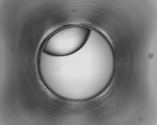 X0000096481122200801241140