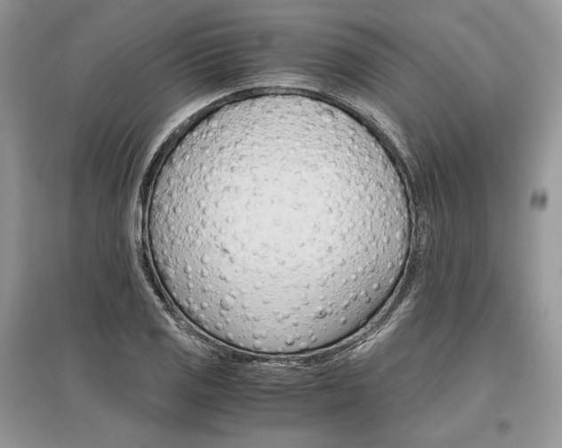 X0000096481125200801241140