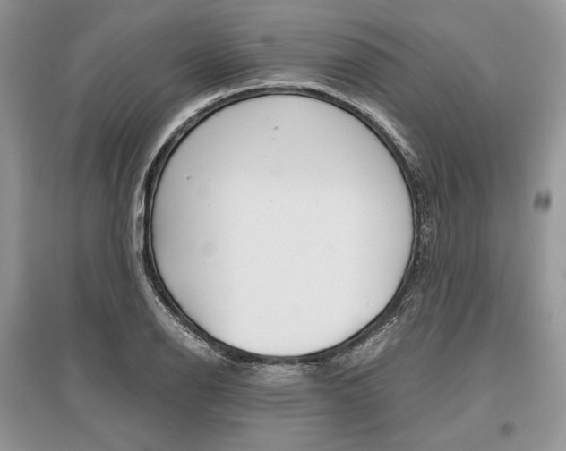 X0000096481126200801241140