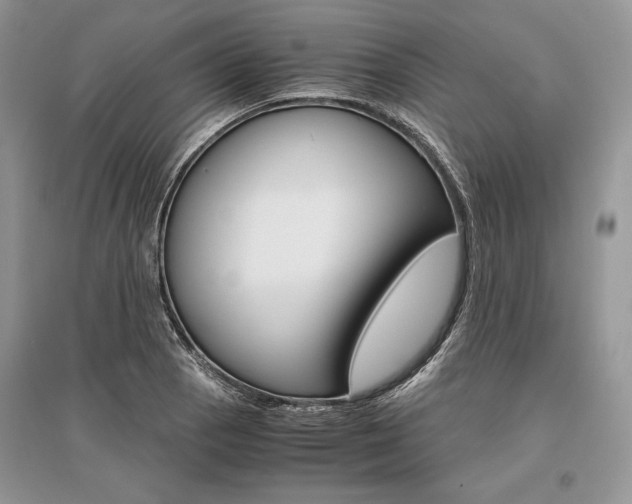 X0000096481129200801241140