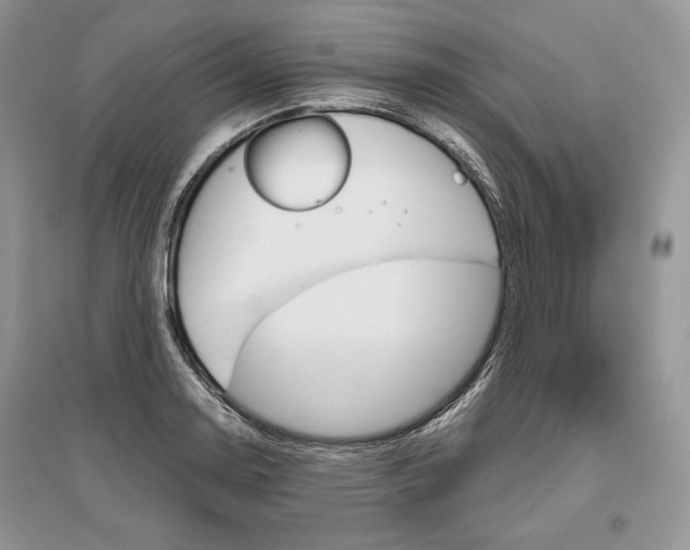 X0000096481130200801241140