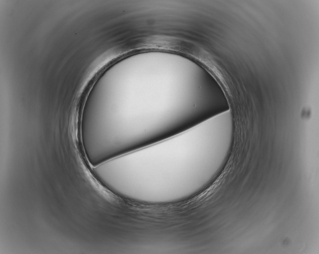 X0000096481131200801241141