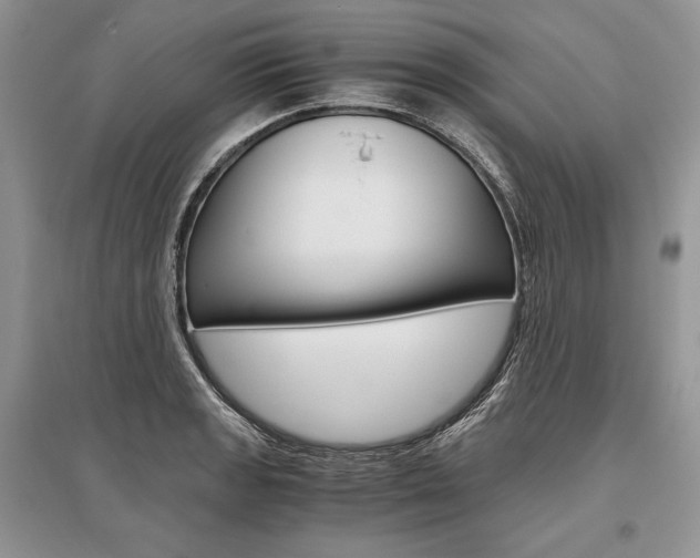 X0000096481133200801241141