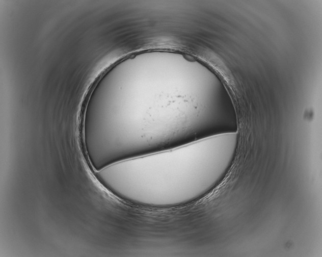 X0000096481135200801241141