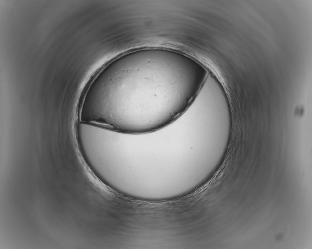X0000096481136200801241141