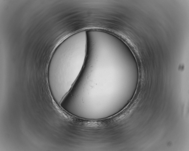 X0000096481137200801241141