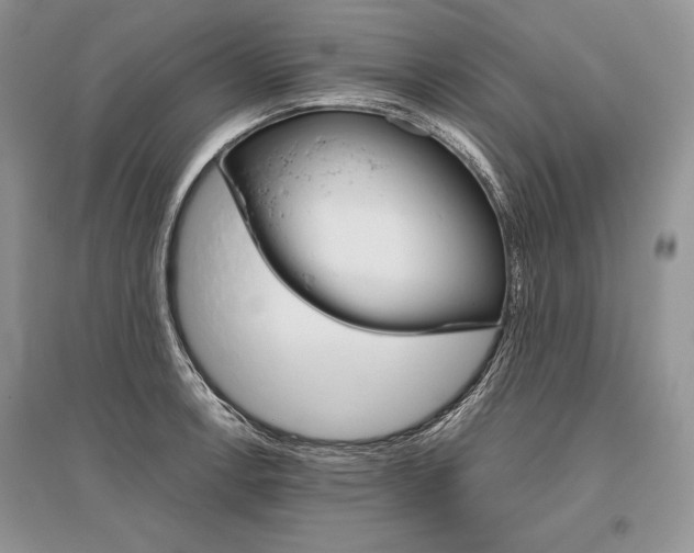 X0000096481138200801241141