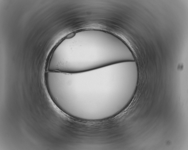 X0000096481139200801241141