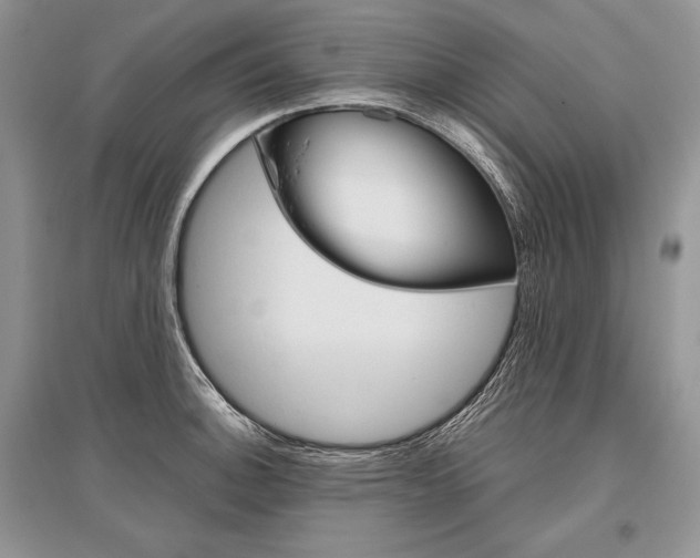 X0000096481140200801241141