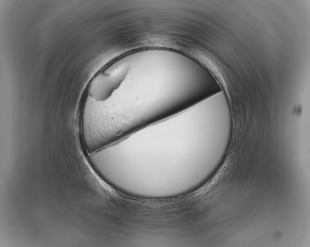 X0000096481141200801241141