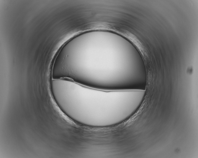 X0000096481142200801241141