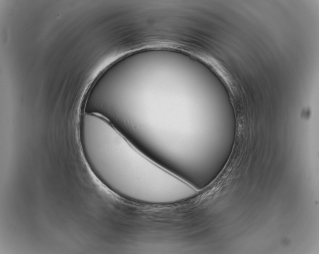 X0000096481143200801241141