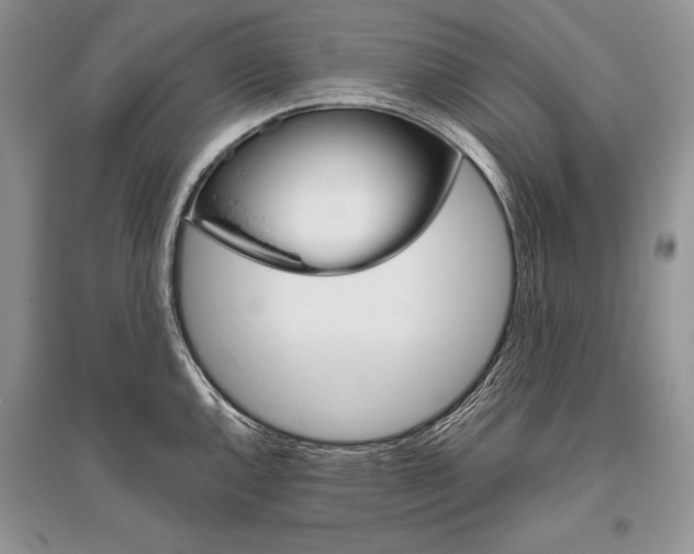 X0000096481144200801241141