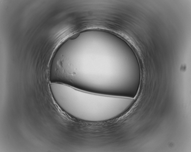 X0000096481145200801241141