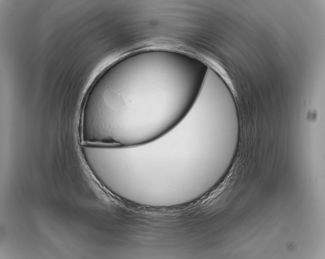 X0000096481146200801241141