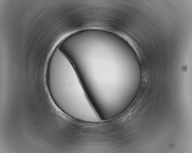 X0000096481147200801241141