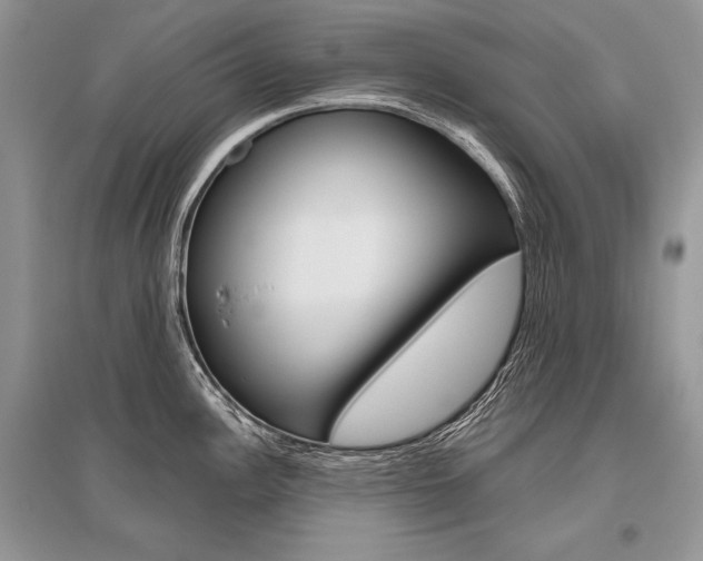 X0000096481148200801241141