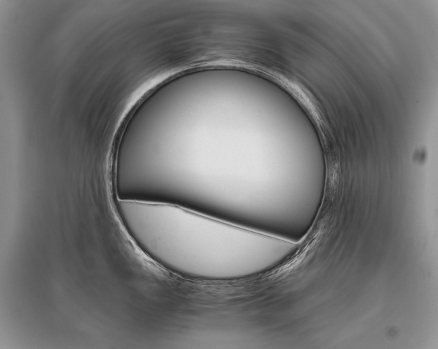 X0000096481149200801241141