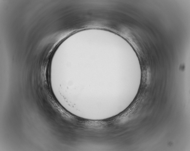 X0000096481150200801241141