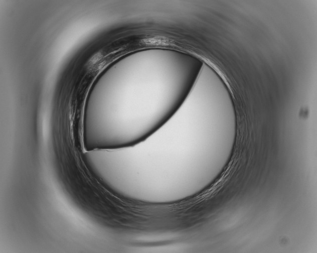 X0000096481151200801241141