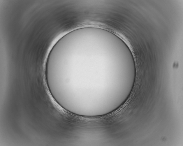 X0000096481152200801241141