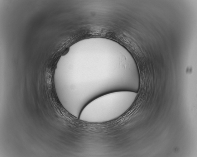 X0000096481154200801241140