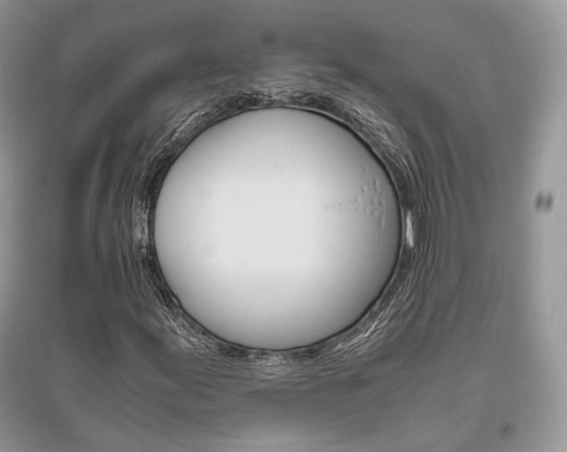 X0000096481155200801241140