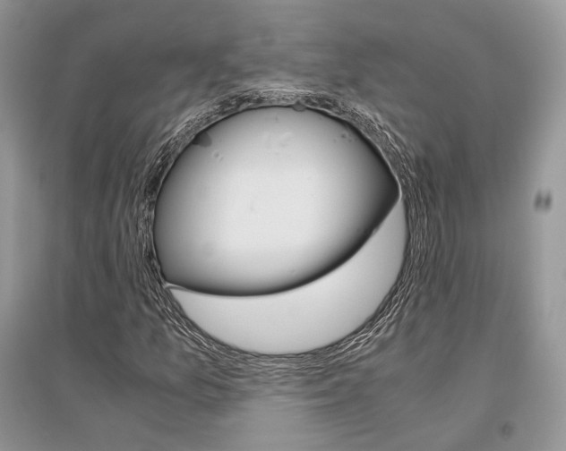 X0000096481157200801241140