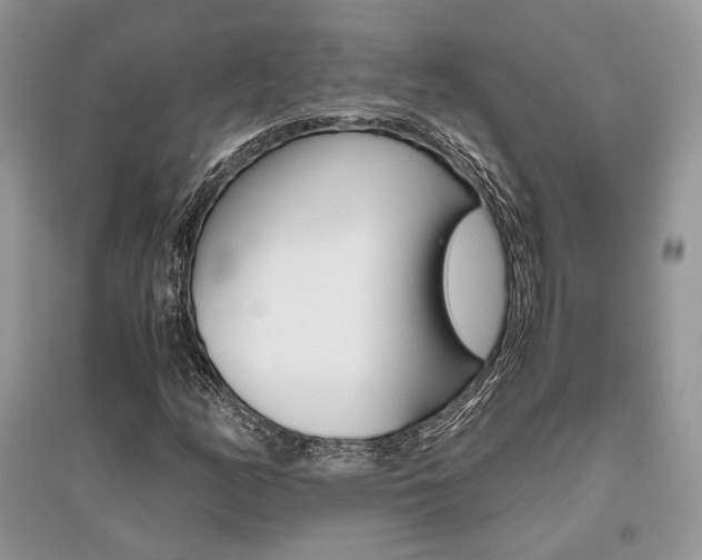 X0000096481158200801241140