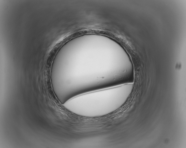 X0000096481159200801241140