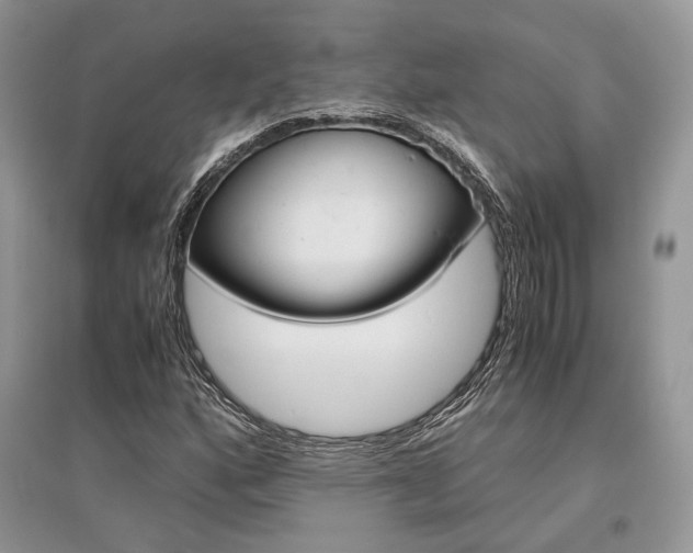 X0000096481160200801241140