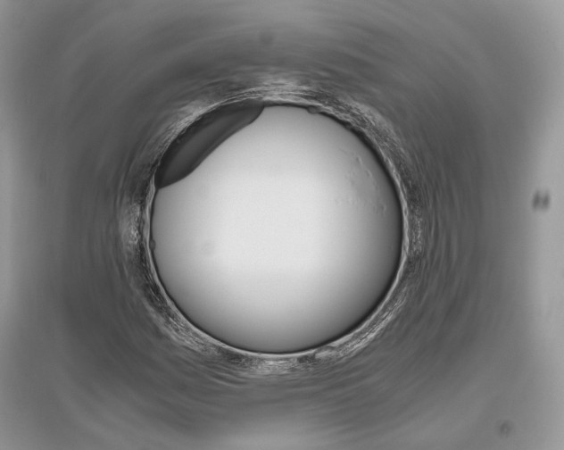 X0000096481161200801241140