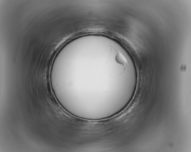 X0000096481162200801241140