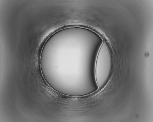 X0000096481167200801241140