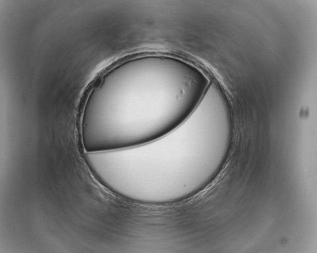 X0000096481168200801241140
