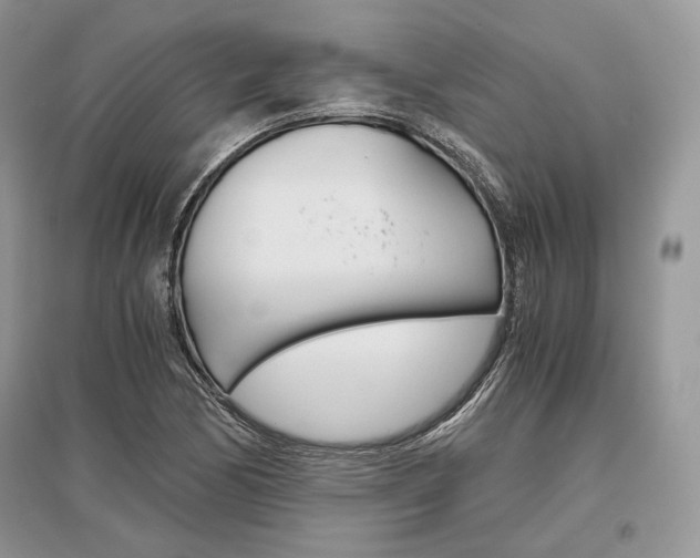 X0000096481170200801241140